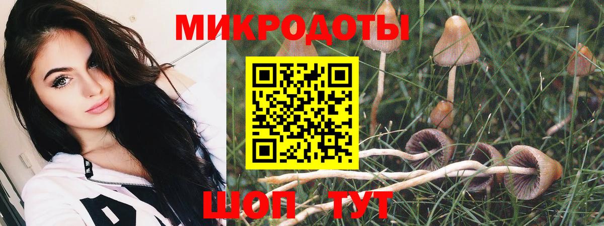 Галлюциногенные грибы MAGIC MUSHROOMS  Псилоцибиновые грибы GOLDEN TEACHER  Вход с VPN  Тольятти 